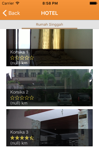 Denpasar Sightseeing screenshot 3