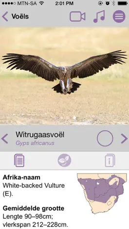 Game screenshot Sasol Algemene Voëls vir Beginners (Lite): Blitsfeite, foto's en video's van 46 Suider-Afrikaanse voëls apk