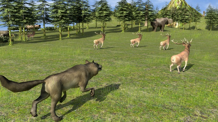 Forest Wild Life Simulator 3D screenshot-3