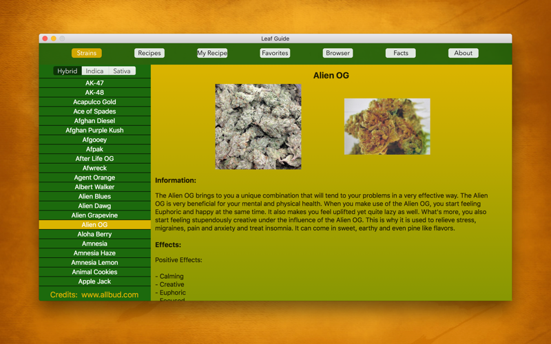 Leaf Guide küçük resim 1