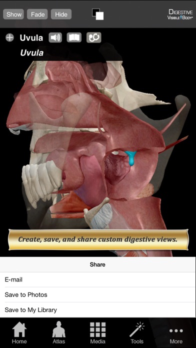 Digestive Anatomy Atlas: Essential Reference for Students and Healthcare Professionals Screenshot 3