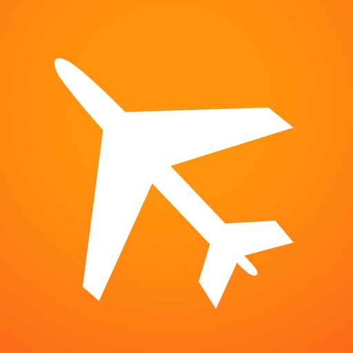 Flight Information - speed, altitude, direction, position of your aircraft icon