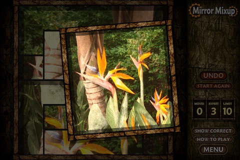 Mirror Mixup Lite screenshot 3