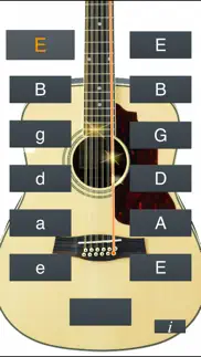12-string guitar tuner simple iphone screenshot 1