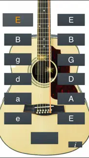 12-string guitar tuner simple iphone images 1