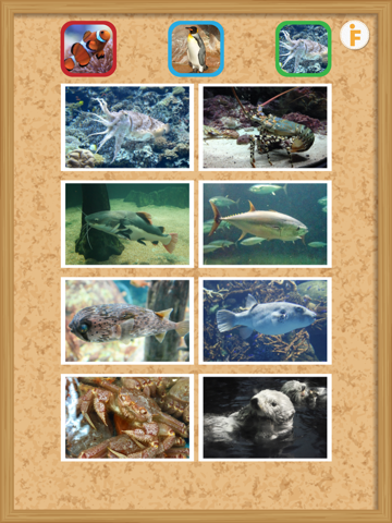 Screenshot #6 pour とびだす水族館