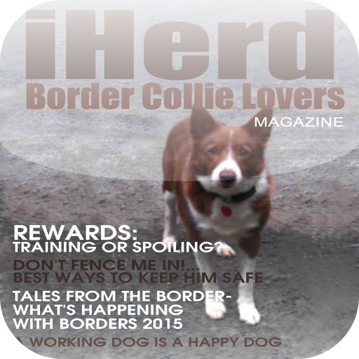 iHerd: Border Collie Lovers Magazine icon