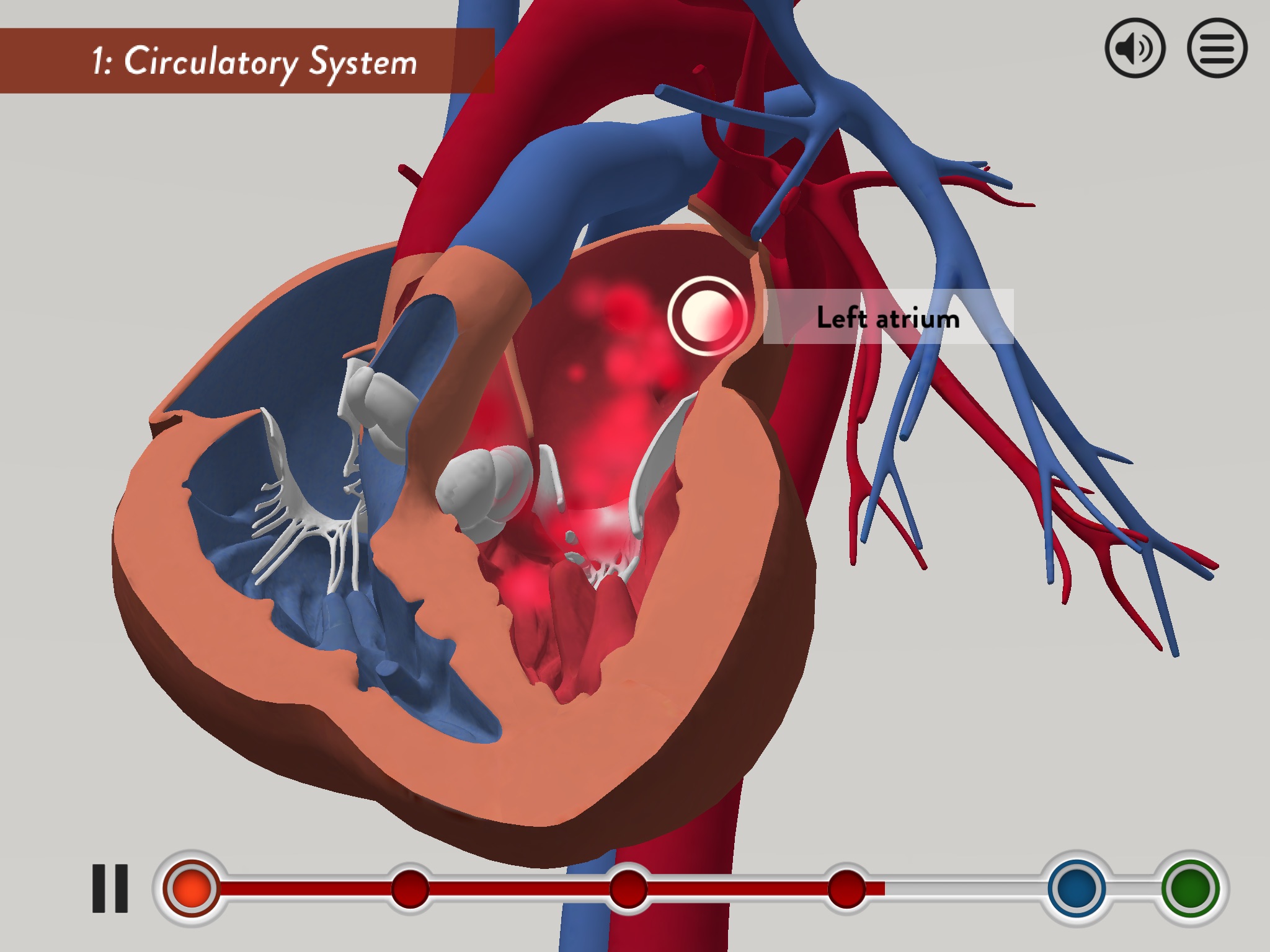 Child Heart Surgery screenshot 3