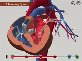 Game screenshot Child Heart Surgery hack