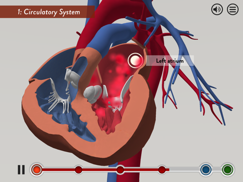 Screenshot #6 pour Child Heart Surgery