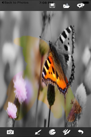 Partial Color Photo - Color Splash screenshot 3