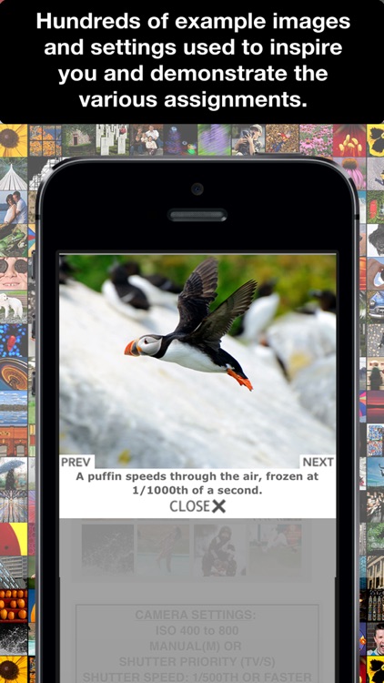 Learn Photo365 Photography Assignment Generator screenshot-3