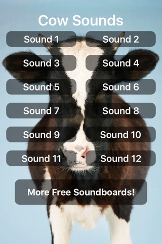 Cow Sounds! - náhled