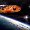 Snakes From Space!