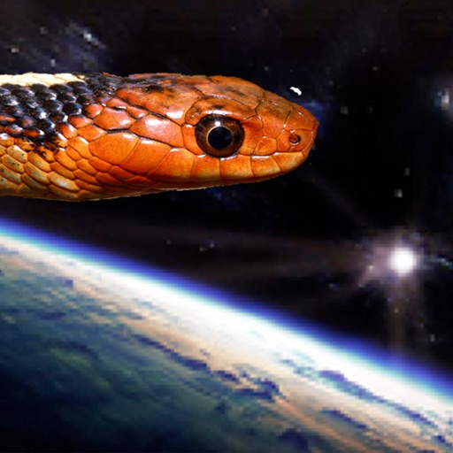 Snakes From Space! Icon