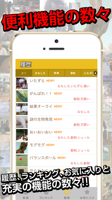 俺のgif 絶対笑えるおもしろgifアニメ画像 By Nobuhiko Sawai Ios 日本 Searchman アプリマーケットデータ
