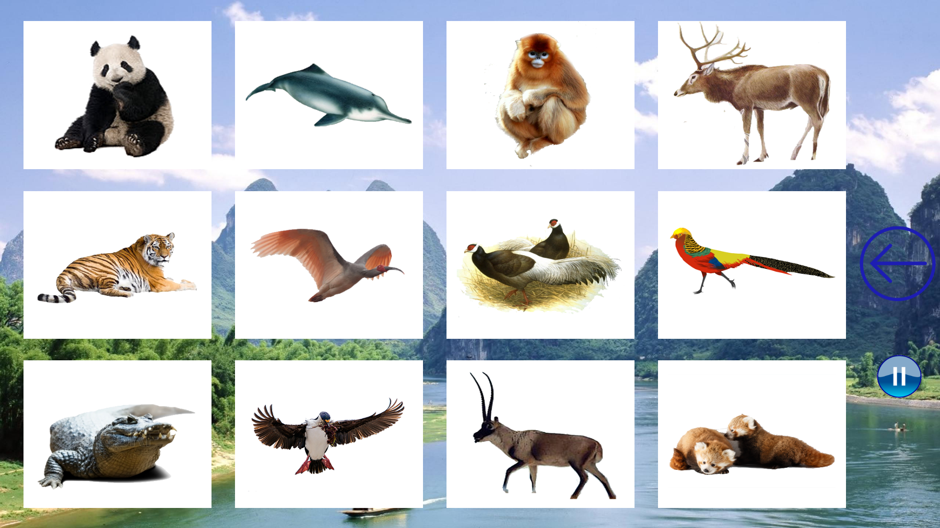 Animals China