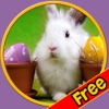 prodigious rabbits for kids - free