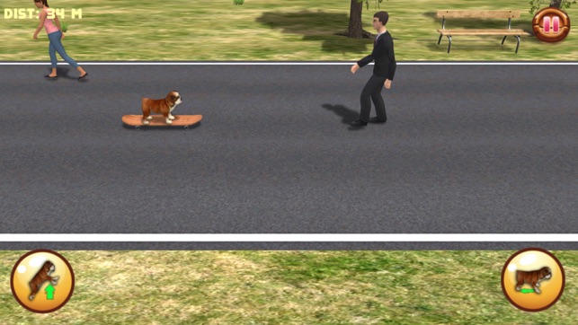 Bulldog on Skateboard 3D(圖3)-速報App