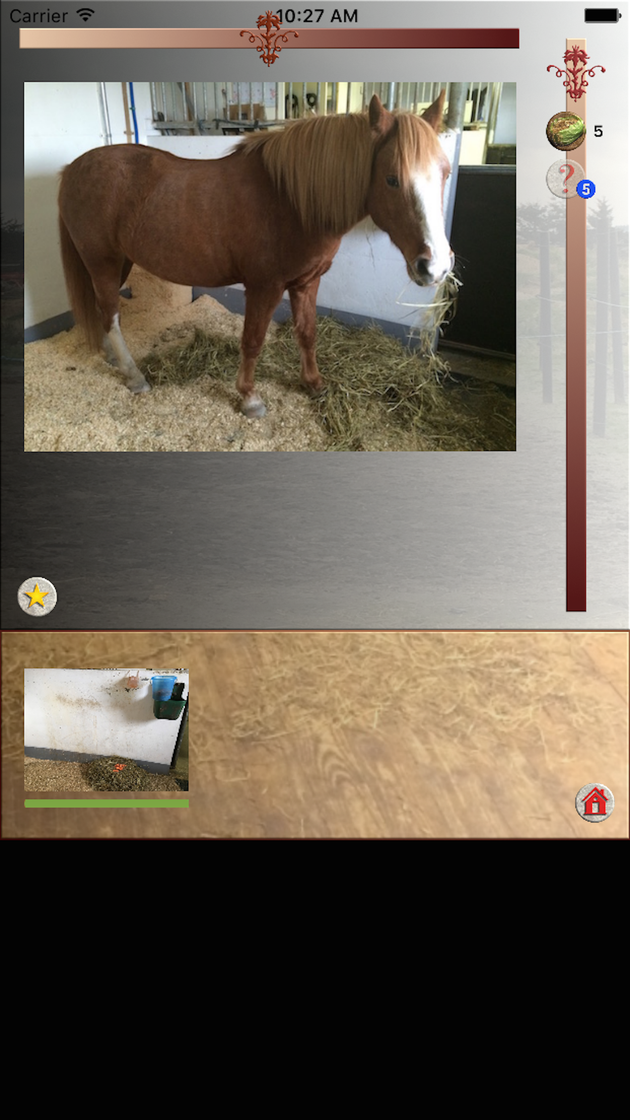 Happy Pony for iPhone by Horse Reader screenshot 3