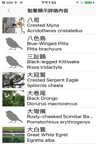 EEBirds screenshot 3