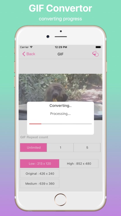Video to GIF Convertor Pro screenshot-4