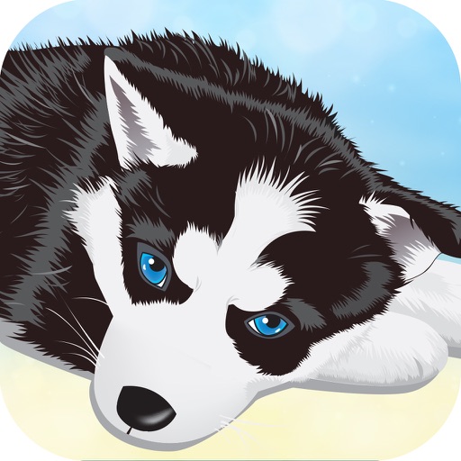 Grab and Care the Pet - Adopt Mini Games in Casino Way for Classic Vegas icon