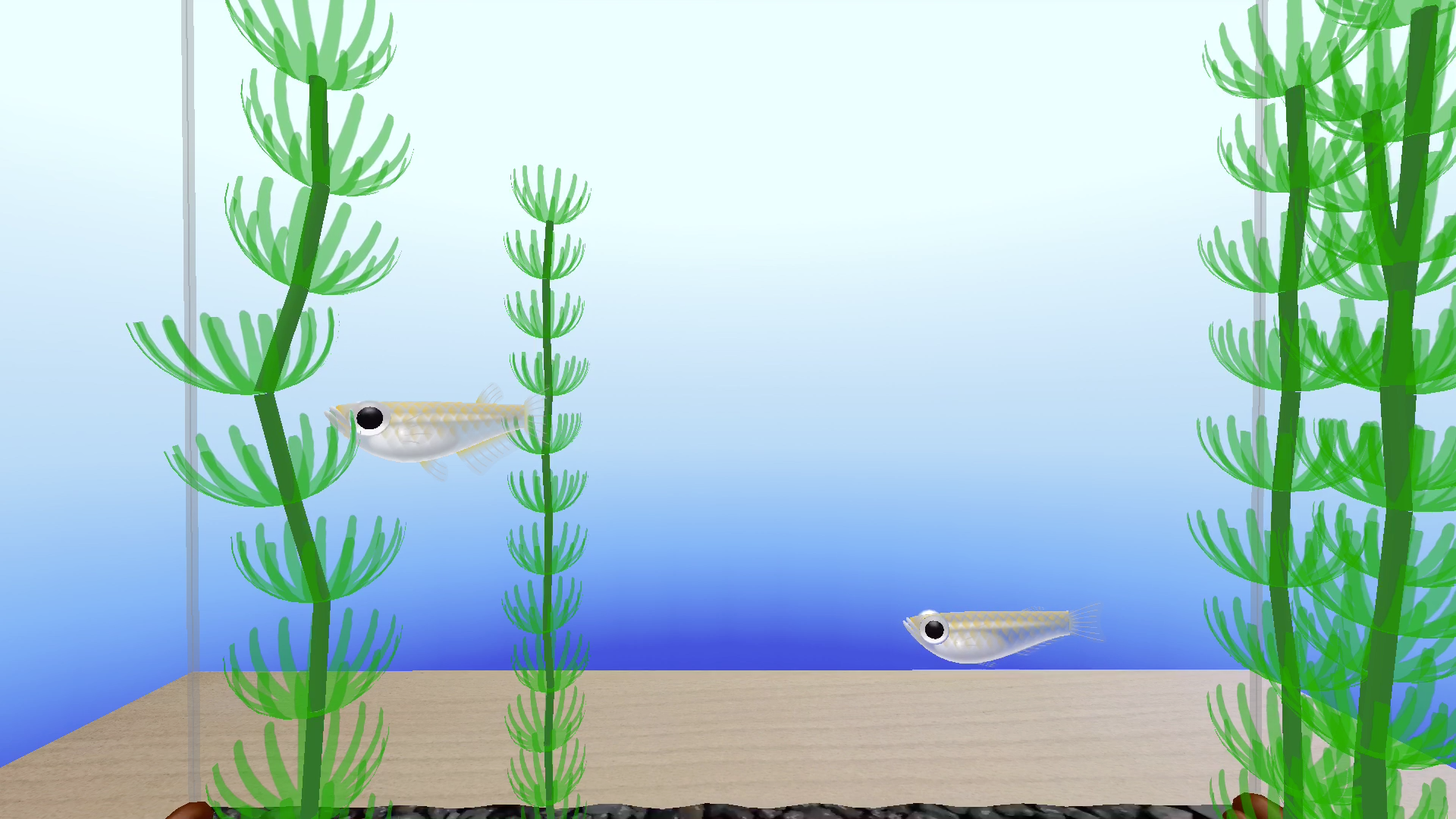 Rice Fish AR/VR