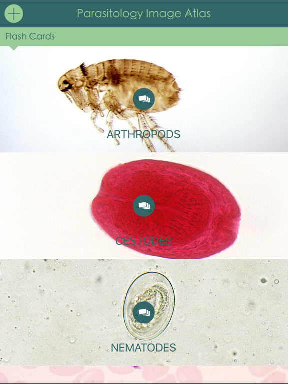 Screenshot #6 pour Parasitology Image Atlas