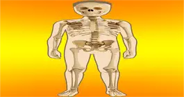 Game screenshot Body Parts Skeletal & Internal mod apk