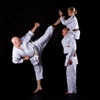 Self Learning Karate: Tutorial with Tips