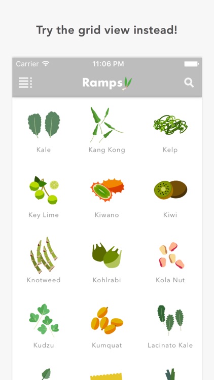 Ramps - Guide to Food