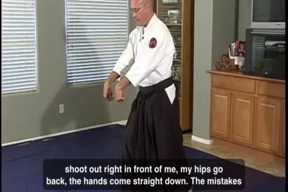 Learn Aikido Techniques screenshot 3