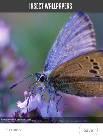 Screenshot #5 pour Insect Wallpaper