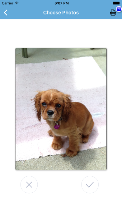 Swipe and Print iPhone screenshot 3 - Photo & Video app