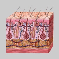 Dermatology by AIMapps sur PC