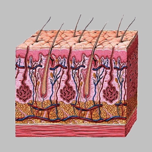 Dermatology by AIMapps