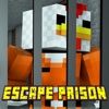 ESCAPE PRISON