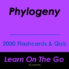 Phylogeny