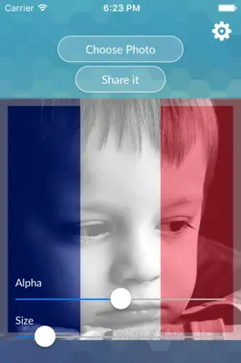 Game screenshot Picture Flags - #1 Flag overlay app mod apk