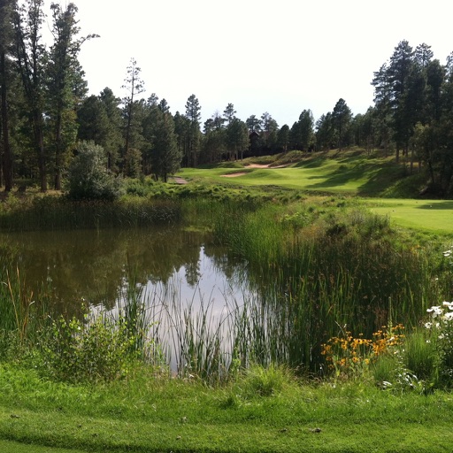 Torreon Golf Club