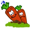 Carrot Farm Kids Game