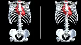 Game screenshot VR Body Guide mod apk