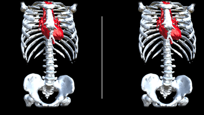 VR Body Guide Screenshot 1 - AppWisp.com VR Body Guide Screenshot 1 - AppWisp.com