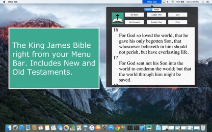 Bible Tab screenshot 1