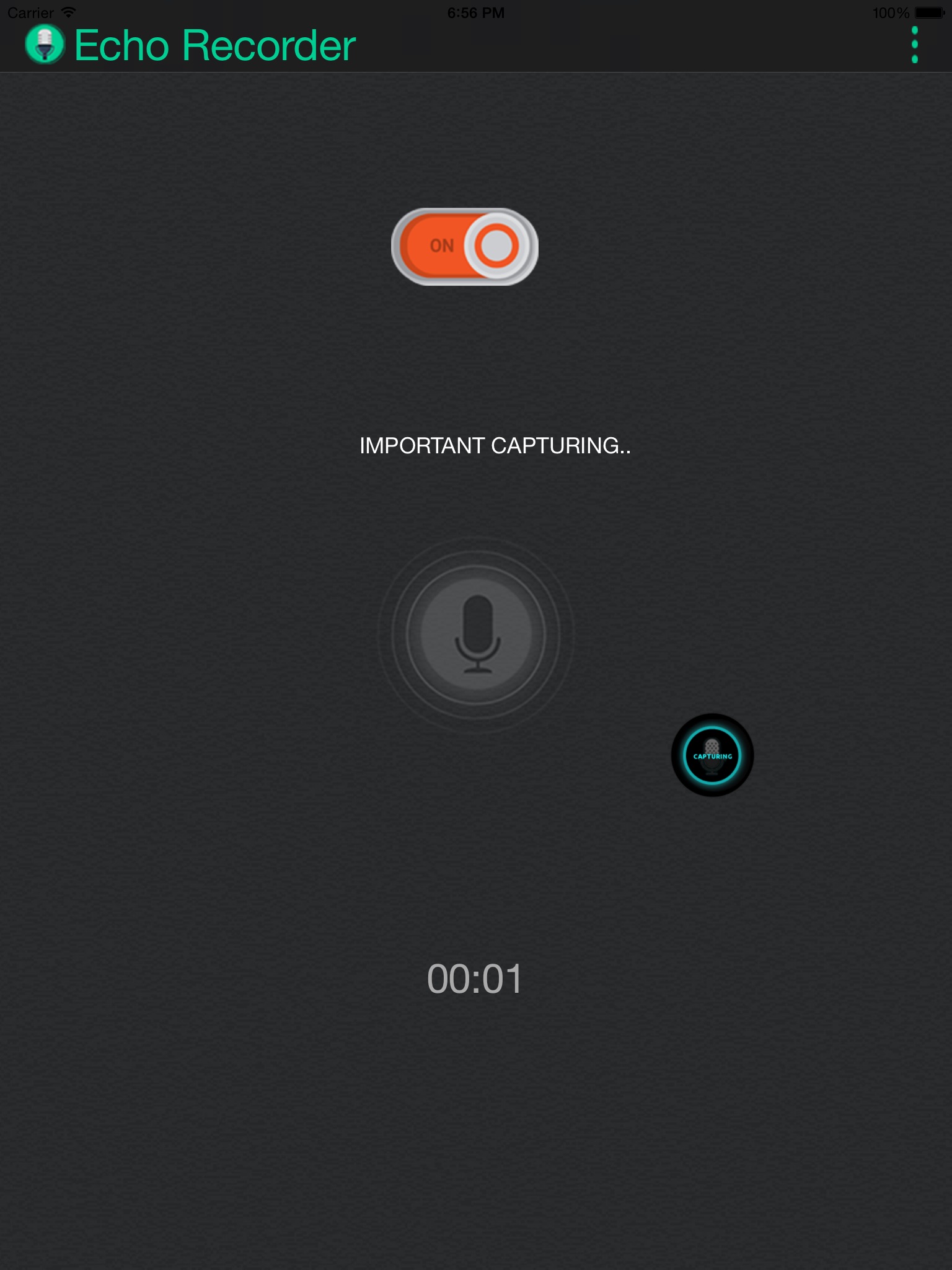 Echo for iPad screenshot 4