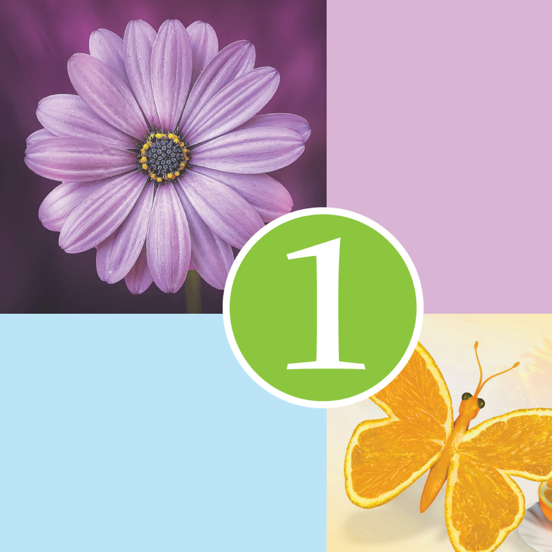 1 indice: mots et syllables