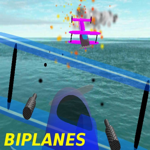 Biplanes Pro Icon