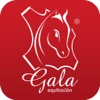 Gala Equitación