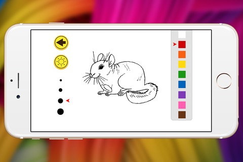 wild animal coloring book chinchilla show for kid screenshot 3